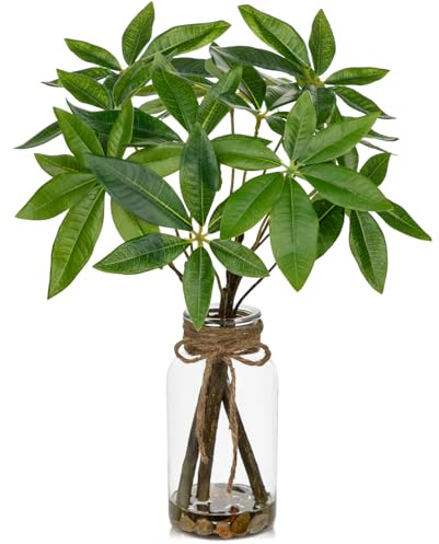 Faux Greenery Stems in Vase Aritificial Money Tree Plant in Glass Vase with Faux Water & Stones 14.2 Small Potted Plants Arrangement Centerpieces for Farmhouse Kitchen Dinner Tables Greenery Decor