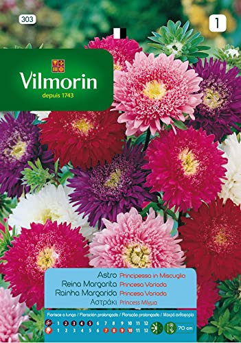 Semillas de REINA MARGARITA PRICESA VARIADA S-1, 0,6 gr