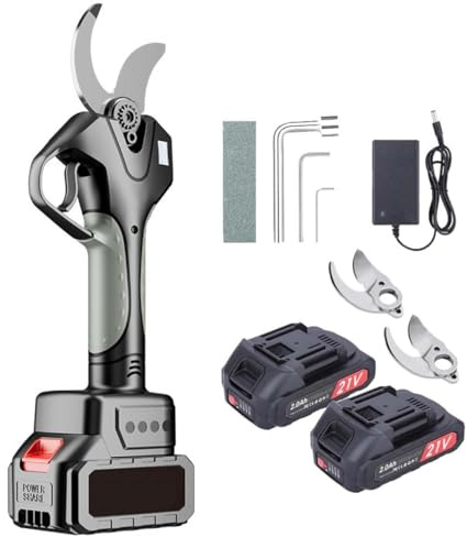 zhenmaster Podadora de Altura Inalámbrica con Batería 21V – Corte de Precisión con Cuchilla SK5, Mango Ajustable hasta 2,1m, Motor Brushless, Pantalla LCD y Kit Completo de Poda(Withoutpole)