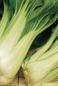 Seeds of Vegetable Pak Choi Seeds F1 Hanakan