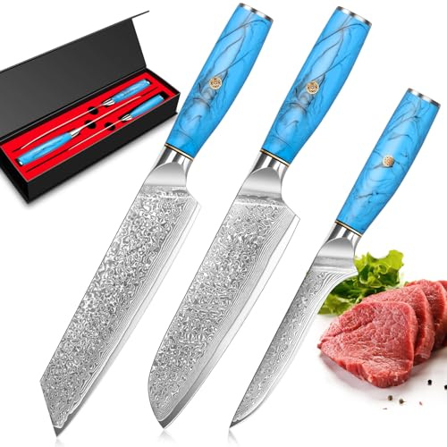 Set Coltelli da Cucina Damascato, 3 Pezzi, Set Coltelli da Chef in 67 Strati di Acciaio Damascato Vg-10, Coltello Kiritsuke Professionali, Manico Ergonomico in Resina Naturale, Confezione Regalo