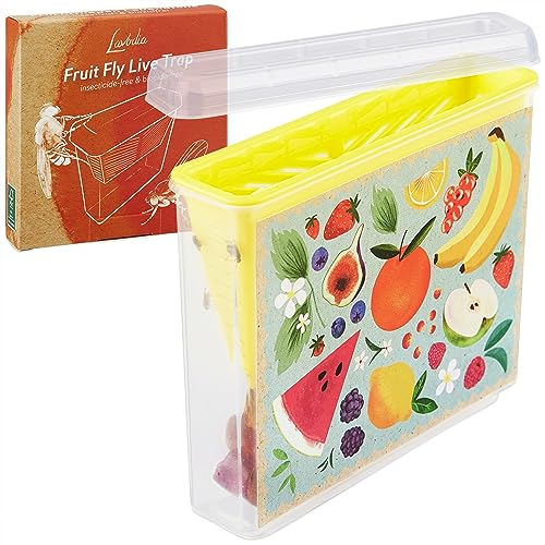 Piège à mouches à fruits vivants : piège à mouches à fruits écologique pour la cuisine et l'intérieur – Sans insecticides – Piège à mouches à fruits de cuisine – Passe au lave-vaisselle – Fruit Fly