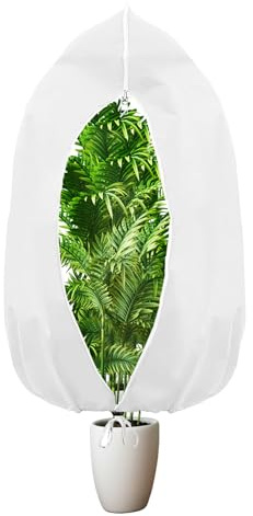 HAFRILY Protección de invierno para plantas exteriores 60 g/m² 80 x 120 cm cubierta para plantas de invierno saco protector de plantas con cordón protector para plantas olivo protección de invierno