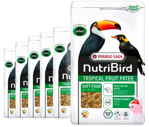 VERSELE-LAGA - NutriBird Tropical Fruit Patee - Fågelpaté - helfoder - för fruktfåglar - 6 x 1 kg