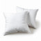 Flowen Kissen 35x35 Kopfkissen 2er Set Dekokissen für Bett und Sofa Innenkissen Hypoallergene Sofakissen Anti-Milben Weiche Zierkissen mit Kissenbezug Mikrofaser Abnehmbar und Waschmaschinenfest