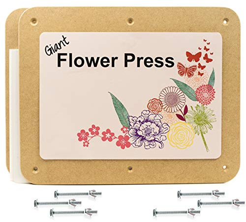 Giant 29cm x 36cm Rectangular Wooden Flower Press
