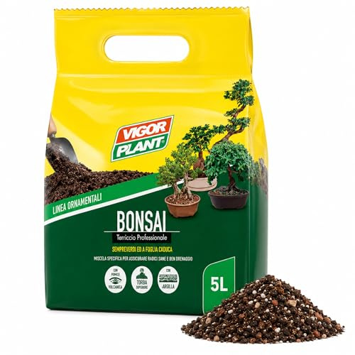 5 LITRI Terriccio Bonsai di Conifere e Latifoglie - Substrato con Pomice Vulcanica e Argilla - OTTIMO Drenante e Aerato per Radici Sane - Ideale per Rinvaso e Coltivazione in Vaso