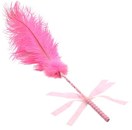 Jouets de nouveauté sexuelle chatouilleur de plumes chatouilleurs sexuels pour adultes chambre à coucher plume Teaser bâton de plume jouet de fessée jouet sexuel pour jeu de rôle, taquinerie et flirt