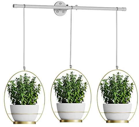 ZPYXBH Blumentopf Hängend Blumenampel Baumwollseil Hängeampel Blumenampeln Zum Aufhängen Für Innen Außen Balkone Pflanzen Wanddekoration Pflanzenhalter Pflanzgefäß Pflanzenaufhänger,Gold