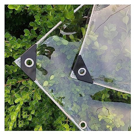 RAUMPA PVC Plane Transparent mit Ösen 2x4 m, Abdeckplane Durchsichtig Regenschutz Balkon Regenplane, Wasserdicht Wetterfeste für Außenbereich Pavillon Seitenwand Outdoor Terrassen Garten