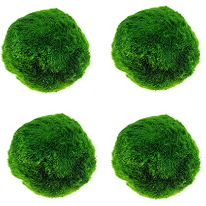 Panonw 4 st konstgjorda sjögräskula växter, falska marimo-bollar gröna vattenväxter små marimo mossbollar för betta fisktank vatten vattenlevande reptilväxter gräsdekorationer