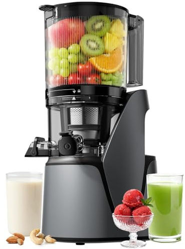 EanOruus Juicer Machines, 3-in-1 Cold Press Juicer with 6.5 Extra Large Chute, 100oz Large Capacity, AC Motor, Makes Juice, Nut Milk & Sorbet, Premium Gray