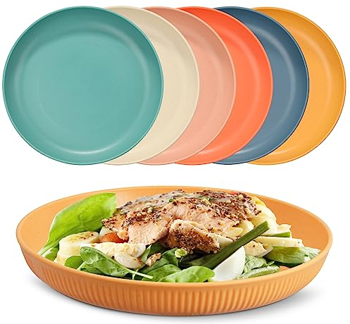 Chuboir Unbreakable Dinner Plates Set, Set of 6 Plastic Plates, 9 Inch Lightweight and Reusable Plates Perfect for Party, Picnics, Camping Home, Office, Microwave and Dishwasher Safe