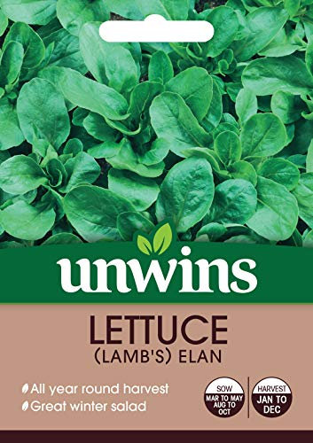 Unwins Lettuce (Leaves) (Lamb's) Elan Seeds