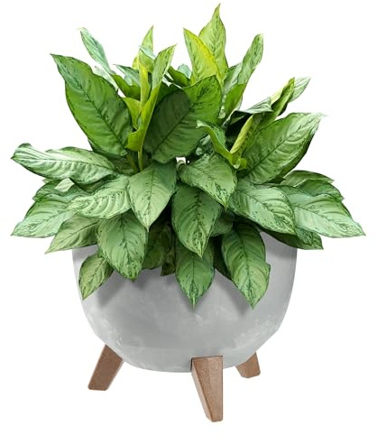 KADAX Maceta Decorativa de Plástico con Soporte Integrado, Macetero con Tres Patas de Imitación Madera para Interior y Exterior (Hormigón Gris, 29cm)