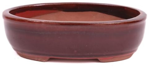 Bonsai - Schale oval 16 x 12 x 4.8 cm, braun/rot 22136