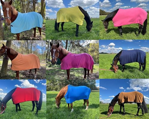 Brama-West Lot de 2 couvertures séchantes pour cheval - Couverture polaire basique - Respirante - Couleurs surprise (135)