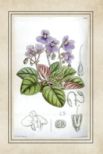 Vintage Botanical Print Journal - African Violet