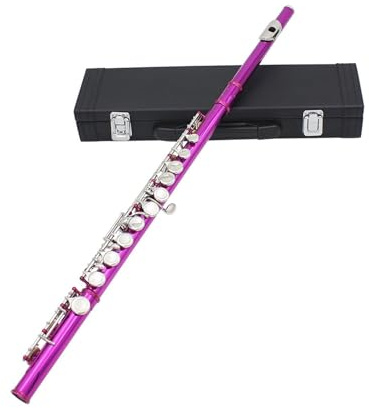 Flauto traverso flauto per principianti Il corpo in tubo di rame bianco con chiave C a 16 fori per flauto rosso rosa è adatto ai principianti per eseguire il test