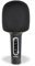Bontempi | Wireless Karaoke Mikrofon mit Lautsprecher, Stimmwechsel-Effekt, Wiederaufladbar, 85mm x 200mm