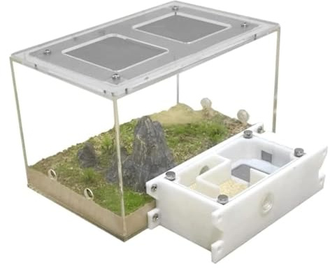 Kit di studio sull'ecosistema del castello delle formiche – Fattoria didattica sulle scienze educative for osservare il comportamento e l'habitat delle formiche, giocattolo nido Casetta per formiche