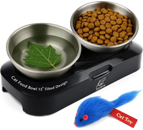 Cat Food Bowl - KATSUPREME Cat Bowls for Indoor Cats | Set of 2 Stainless Steel Bowl, Tilted Bowls Elevated Anti Vomiting, Non-Slip Base, Ant Proof Food & Water.