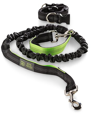 Jack & Russell Hunde Joggingleine mit Hüftgurt - schwarz-neongrün Hunde Leine elastisch 1,5 m - 2,0 m (Schwarz/Neongrün)