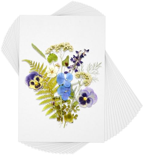Xelsluthe Blotting Paper for Flower Press, 50 Sheets A4 Size 29.7x21cm Flower Press Paper, Highly Absorbent Reusable Blotter Papers for Herbarium Craft and Fountain Pen Writing