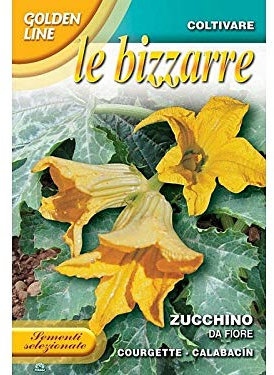 SEMENTI DI ZUCCHINO DA FIORE orto giardino semi