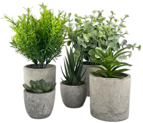 TERRARIDE 5 Piezas Plantas Decorativas, Mini Macetas Artificiales Lengua de Serpiente, Agave Suculentas, Aloe Garra de Águila para Decoración de Dormitorio Oficina