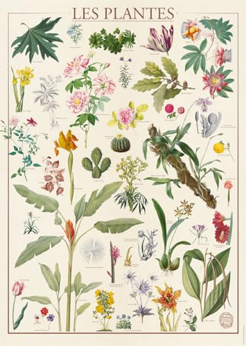 Nathan - Puzzle 1500 pièces - Les plantes - Muséum national d'Histoire naturelle - Adultes et enfants dès 14 ans - Puzzle de qualité supérieure - Collection Nostalgie - 12000931