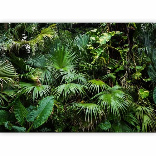 murando - Carta da parati 3D Effetto Giungla 350x256 cm Fotomurali in TNT Murale alla moda Decorazione da Muro XXL Poster Gigante Design Carta per Pareti Fogliame tropicale Monstera b-B-0312-a-a