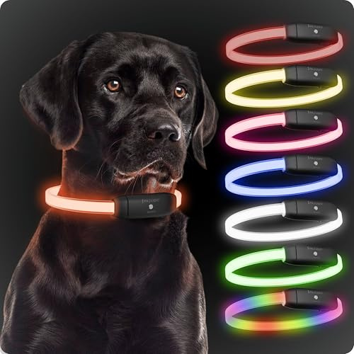 PAJ LIGHT - Collare Luminoso ad Alta Visibilità Per Cani di Taglia Media/Grande - Lunghezza Regolabile Da 20 a 70cm - 100% Impermeabile - 7 Colori Diversi, Visibilità e Sicurezza