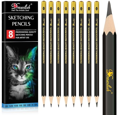Drawing Pencils Set of 8-12B 10B 5B 3B 2B HB H 6H Sketching Pencils for Artists Beginners, Kids & Adults - Premium Wood Art Pencil Sketching Set for Shading, Doodling & Drawing