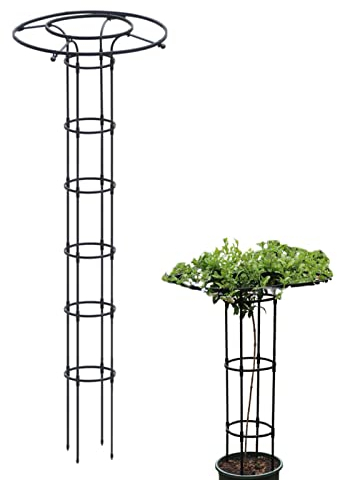 210cm Garten Rankhilfe Metall Ranksäule Für Kletterpflanzen Pflanzen Rankhilfe Blumen Rosen Kletterhilfe Wetterfest Garten Rankgitter Tomatenkäfig Pflanzenstütze Obelisk Für Pflanzen,Tomaten, Rosen