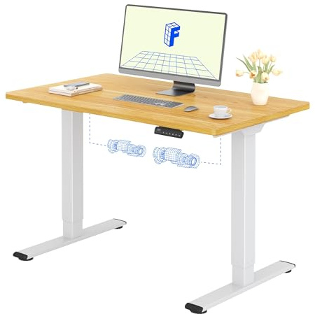 FLEXISPOT Scrivania Regolabile in Altezza 120x60 cm, 2 Motori, Piano Unico 25 mm, Memoria & Display Altezza, Ergonomica con Gestione Cavi, Ripiano Sottoscrivania, Ganci e Clip Fermacavi
