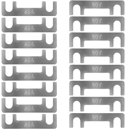 Streifensicherungen Blattsicherung Flachsicherungsstreifen 16 Stk Auto Sicherung 30A 40A 50A 60A 70A 80A 100A 110A 125A 150A Maximale Spannung bis 32V, für PKW Wohnmobil (80A)
