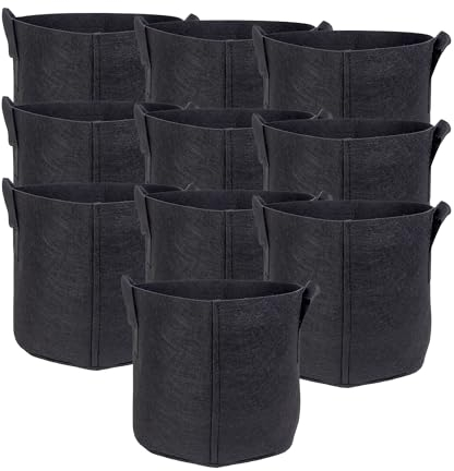 INTIRILIFE 10 sacchetti per piante in tessuto non tessuto, 20 litri, 5 galloni, 30 x 25 cm, con manici per giardino, serra, fioriera