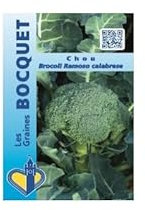Sachet de graines de Chou Brocoli Ramoso Calabrese - 1,5 g - LES GRAINES BOCQUET