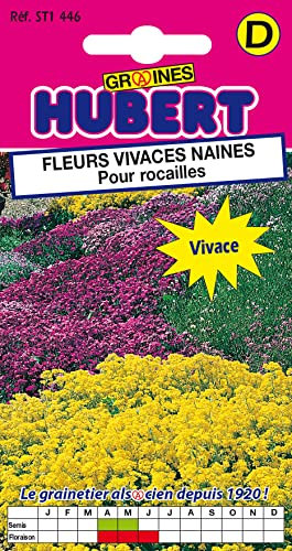Mélange de Graines de Fleurs Vivaces Naines Pour Rocailles - 0,5 grammes