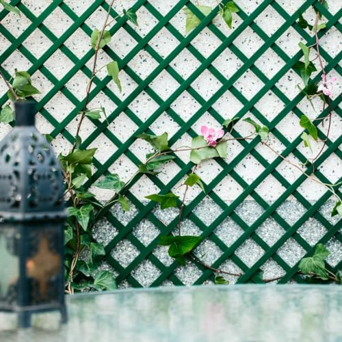 Nortene Celosía Fija PVC 1x2 m para Jardín Terraza y Balcón 1X2 M | Diseño Funcional Y Estilizado | La Celosía Fija De Pvc De Es Ideal Para Exteriores, Resistente Y Duradero Para Uso