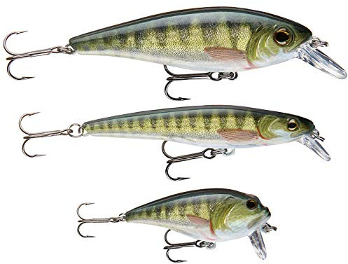 Cormoran Wobbler Set Perch | Kit Esche Artificiali