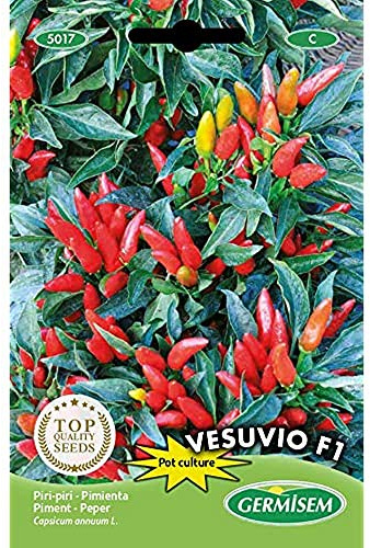 Germisem Vesuvio F1 Semi di Peperoncino 0.5 g