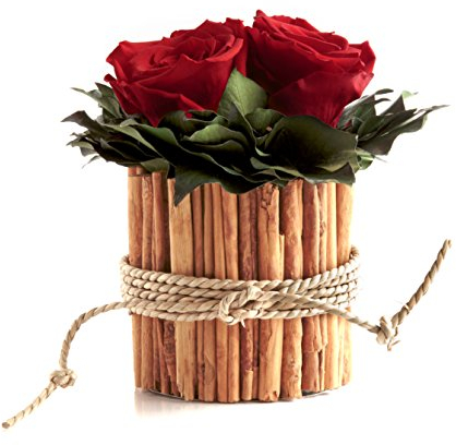 Infinity Rosenbox rund 3 echte Rosen Rot konserviert in Vase aus Zimtstangen lange haltbar 3 Jahre (Rot, 3 Rosen)