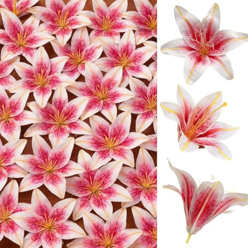 SNAIL GARDEN 24 Stücke Künstliche Lilienköpfe aus Seide - 14cm Große Kunstblumen Köpfe für DIY Basteln, Hochzeitsdekoration, Home Deko (Rosa-Weiß Verlauf)