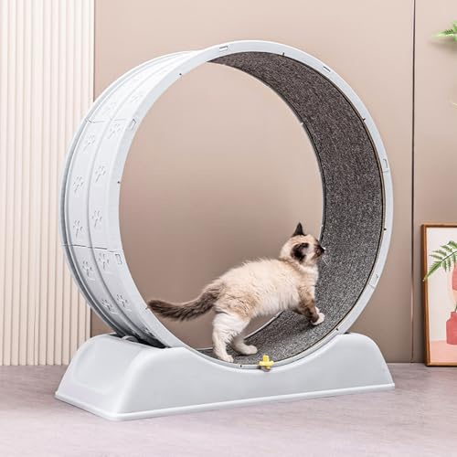 YOPOTIKA Ruota per gatti da 80 cm, con freno di sicurezza e morbido tessuto interno per gatti domestici per allenarsi, correre e lavorare