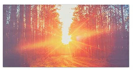 Klarstein Radiador Infrarrojos Pared Potencia 720W, Placa Calor Bajo Consumo, Panel Radiante Bajo Consumo, Panel Infrarrojos Calefaccion, Calefactores Infrarojos Panel Radiante Pared