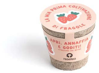 La Mia Prima Coltivazione di Fragole – Kit Educativo Montessori & STEM per Bambini e Adulti | Con Semi, Vaso Biodegradabile e Terriccio | Attività Sensoriale e Regalo Originale