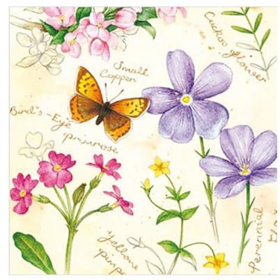 Premium Collection by Jean 20 Stück Servietten Frühling Schmetterling