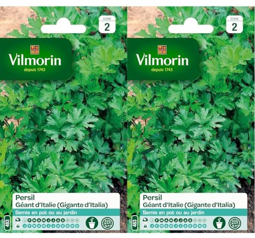 Vilmorin 3790542 Pack de Graines Persil Commun Géant d'Italie (Lot de 2)
